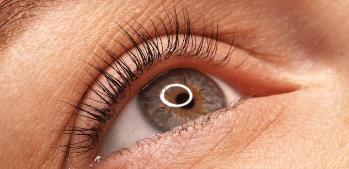 rehaussement de cils institut