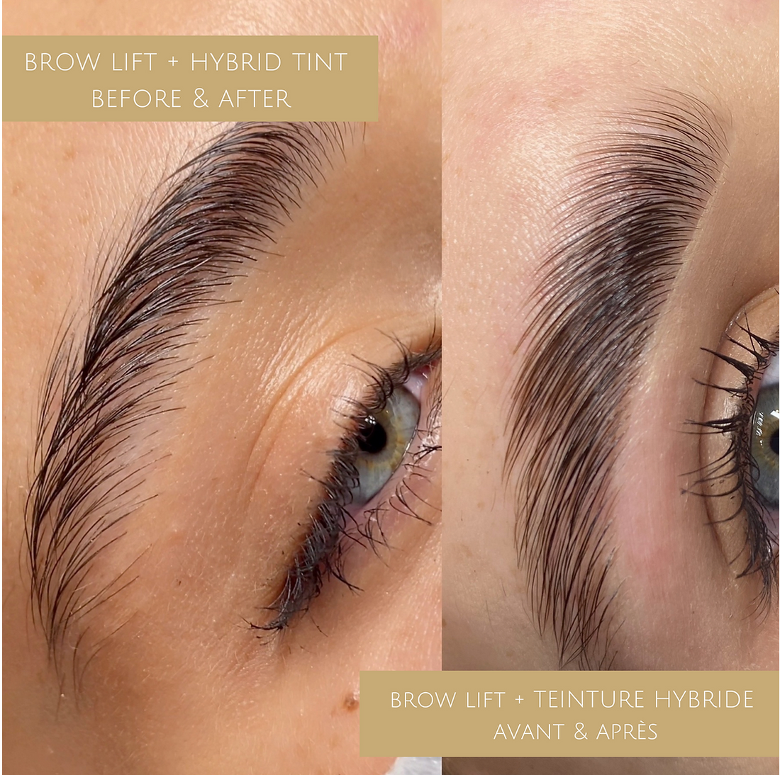 meilleur kit sourcils