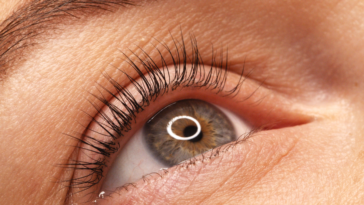 Comment fonctionne le cycle de vie des cils ?
