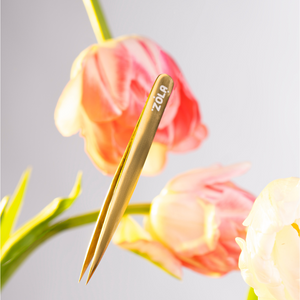 pince a epiler pointue