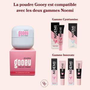 protocole_poudre_noemi_gooey