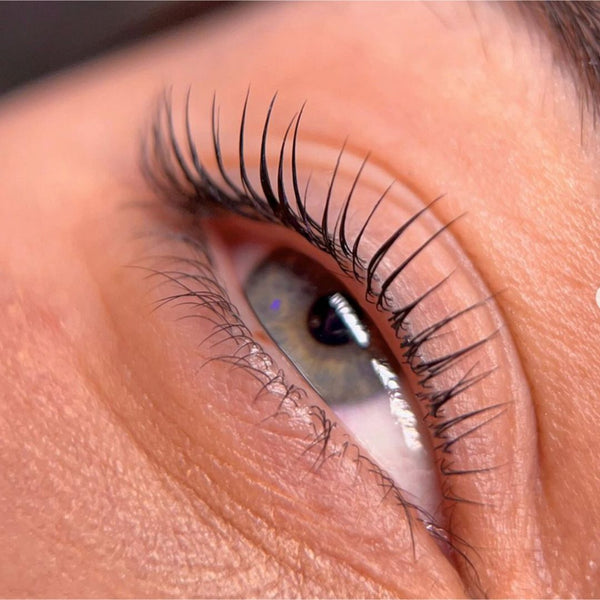 rehaussement des cils zola